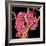 Kidney Glomeruli, SEM-Susumu Nishinaga-Framed Premium Photographic Print