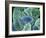 Kidney Glomeruli, SEM-Steve Gschmeissner-Framed Photographic Print