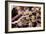 Kidney Glomeruli, SEM-Steve Gschmeissner-Framed Photographic Print