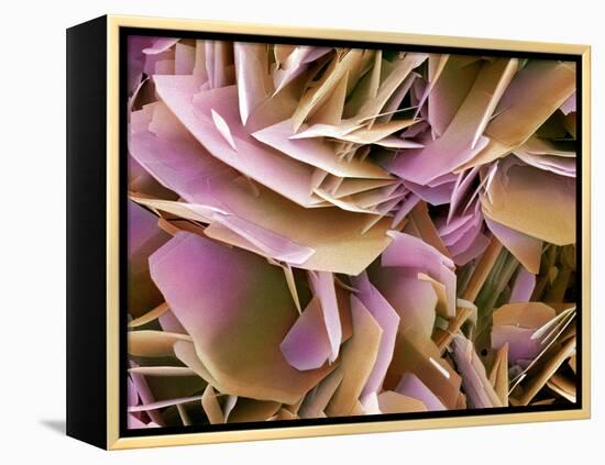 Kidney Stone Crystals, SEM-Steve Gschmeissner-Framed Premier Image Canvas