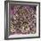 Kidney Stone Crystals, SEM-Steve Gschmeissner-Framed Premium Photographic Print