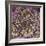 Kidney Stone Crystals, SEM-Steve Gschmeissner-Framed Premium Photographic Print