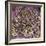 Kidney Stone Crystals, SEM-Steve Gschmeissner-Framed Premium Photographic Print