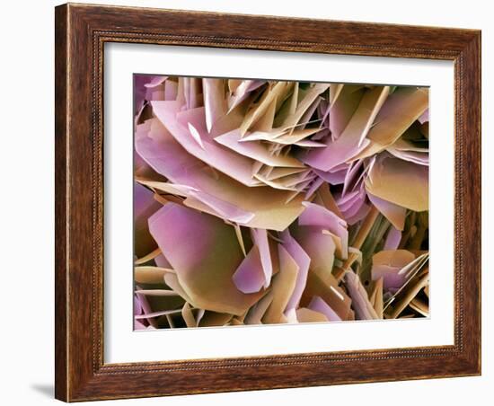 Kidney Stone Crystals, SEM-Steve Gschmeissner-Framed Photographic Print