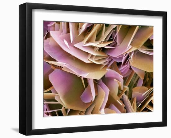 Kidney Stone Crystals, SEM-Steve Gschmeissner-Framed Photographic Print