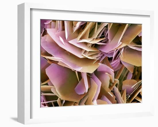 Kidney Stone Crystals, SEM-Steve Gschmeissner-Framed Photographic Print