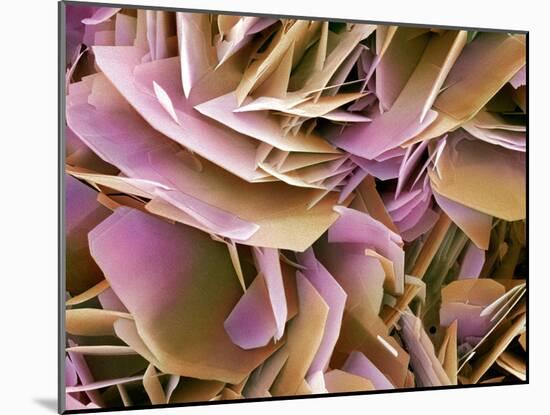 Kidney Stone Crystals, SEM-Steve Gschmeissner-Mounted Photographic Print