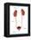 Kidneys, Ureter & Urinary Bladder, Illustration-Monica Schroeder-Framed Premier Image Canvas