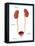 Kidneys, Ureter & Urinary Bladder, Illustration-Monica Schroeder-Framed Premier Image Canvas