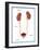 Kidneys, Ureter & Urinary Bladder, Illustration-Monica Schroeder-Framed Giclee Print