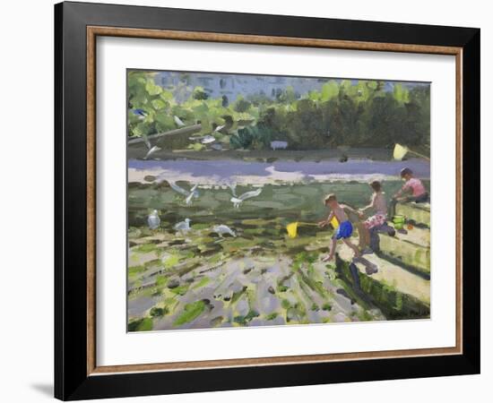 Kids and Seagulls, Looe , 2013-Andrew Macara-Framed Giclee Print