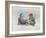 Kids Ice Skating-Dianne Dengel-Framed Giclee Print