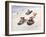 Kids Sledding-Dianne Dengel-Framed Giclee Print