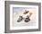 Kids Sledding-Dianne Dengel-Framed Giclee Print