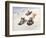 Kids Sledding-Dianne Dengel-Framed Giclee Print