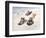 Kids Sledding-Dianne Dengel-Framed Giclee Print