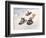 Kids Sledding-Dianne Dengel-Framed Giclee Print