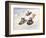 Kids Sledding-Dianne Dengel-Framed Giclee Print