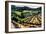 Kieken Vineyard-Janet Vanderhoof-Framed Giclee Print