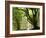 Kielder Forest Park, Northumberland, England-Paul Harris-Framed Photographic Print