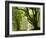 Kielder Forest Park, Northumberland, England-Paul Harris-Framed Photographic Print