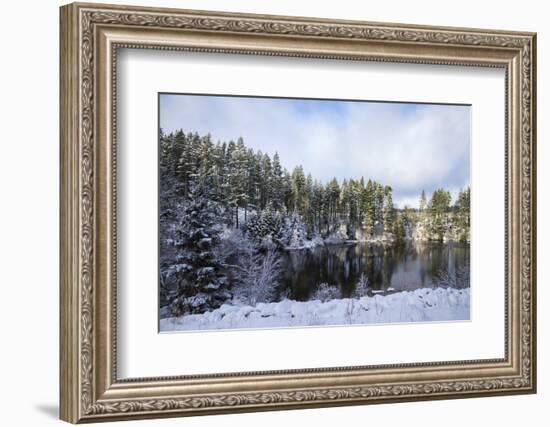 Kielder Water and Forest Park in Snow, Northumberland, England, United Kingdom, Europe-Ann & Steve Toon-Framed Photographic Print