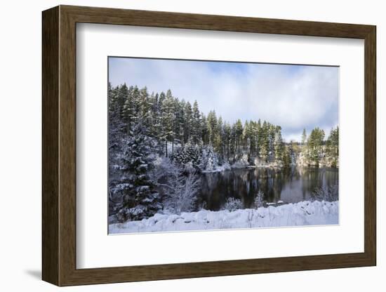 Kielder Water and Forest Park in Snow, Northumberland, England, United Kingdom, Europe-Ann & Steve Toon-Framed Photographic Print