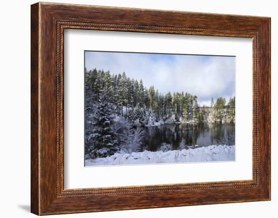 Kielder Water and Forest Park in Snow, Northumberland, England, United Kingdom, Europe-Ann & Steve Toon-Framed Photographic Print