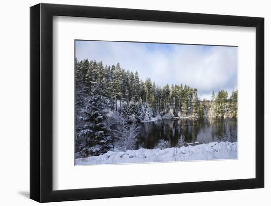 Kielder Water and Forest Park in Snow, Northumberland, England, United Kingdom, Europe-Ann & Steve Toon-Framed Photographic Print