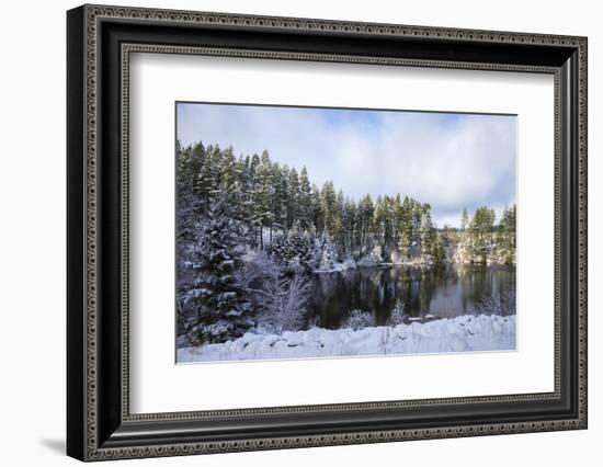 Kielder Water and Forest Park in Snow, Northumberland, England, United Kingdom, Europe-Ann & Steve Toon-Framed Photographic Print