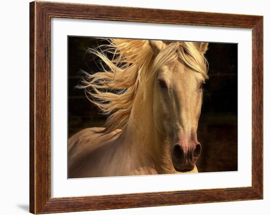 Kieto II-Tony Stromberg-Framed Art Print