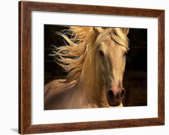 Kieto II-Tony Stromberg-Framed Art Print