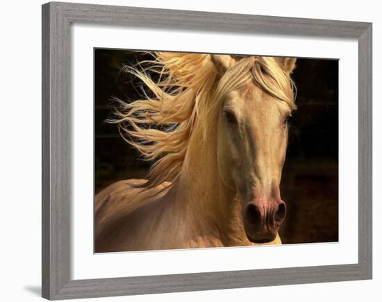 Kieto II-Tony Stromberg-Framed Art Print