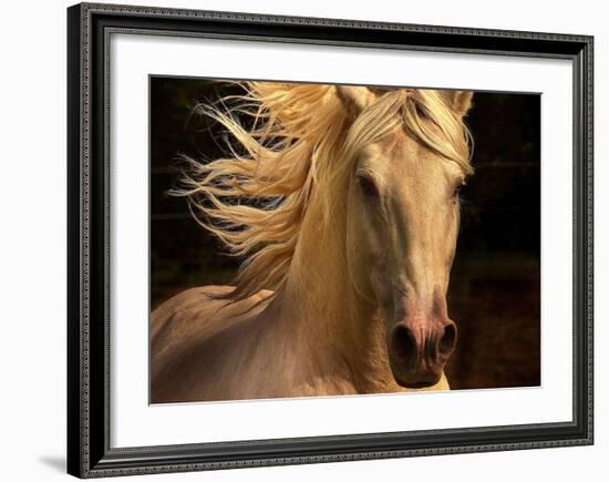 Kieto II-Tony Stromberg-Framed Art Print