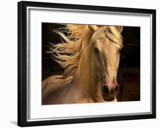 Kieto II-Tony Stromberg-Framed Art Print