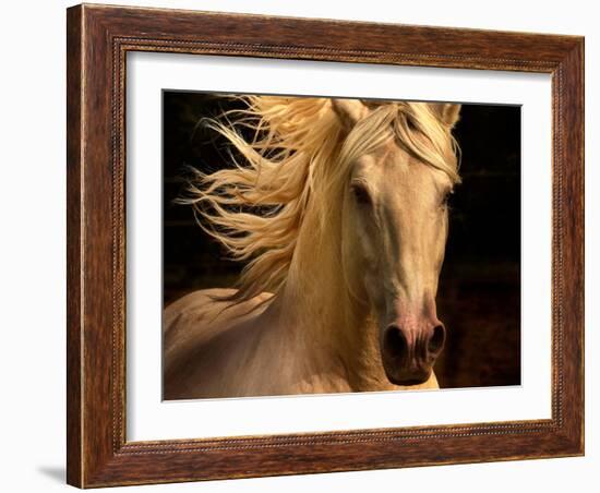 Kieto II-Tony Stromberg-Framed Premium Photographic Print