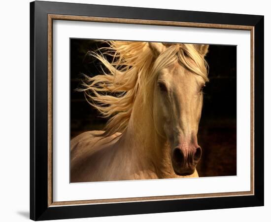 Kieto II-Tony Stromberg-Framed Premium Photographic Print