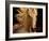 Kieto II-Tony Stromberg-Framed Premium Photographic Print