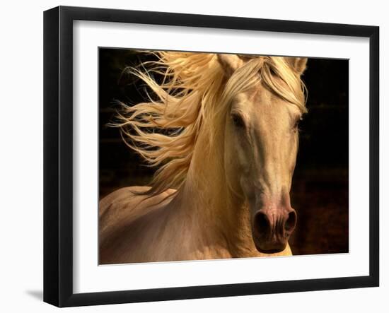 Kieto II-Tony Stromberg-Framed Premium Photographic Print