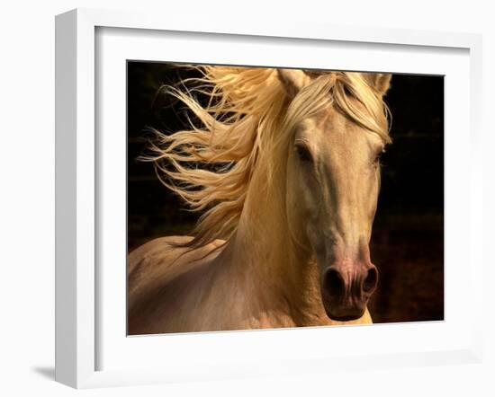 Kieto II-Tony Stromberg-Framed Premium Photographic Print