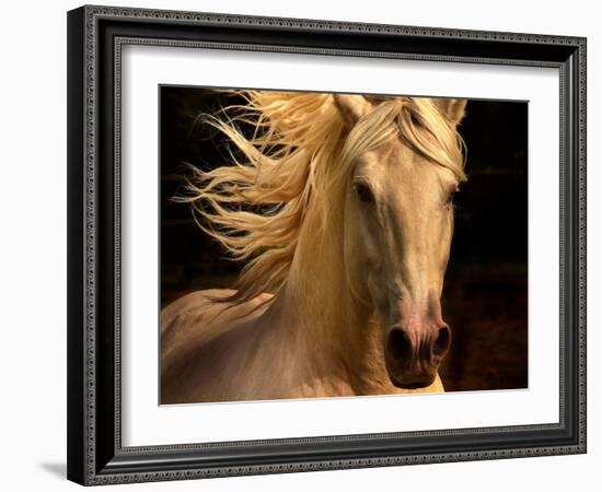 Kieto II-Tony Stromberg-Framed Premium Photographic Print