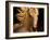 Kieto II-Tony Stromberg-Framed Premium Photographic Print