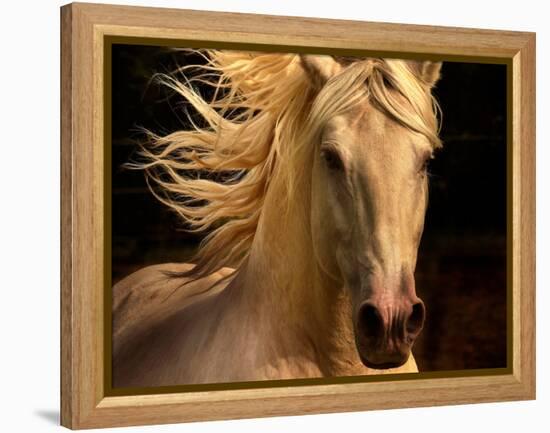 Kieto II-Tony Stromberg-Framed Premier Image Canvas