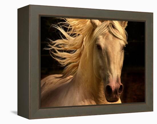 Kieto II-Tony Stromberg-Framed Premier Image Canvas