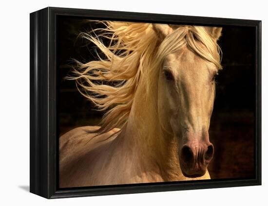 Kieto II-Tony Stromberg-Framed Premier Image Canvas