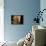 Kieto II-Tony Stromberg-Framed Premier Image Canvas displayed on a wall