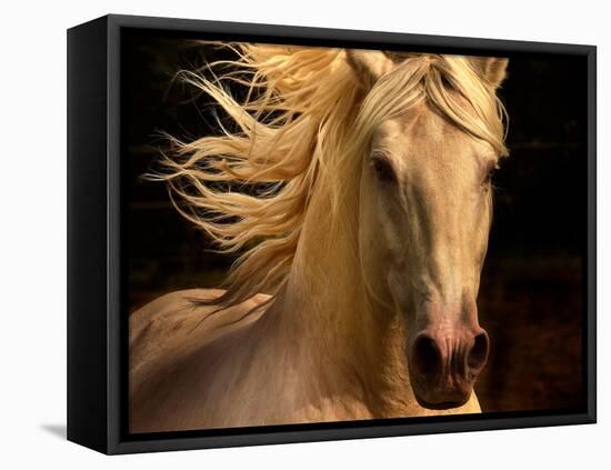 Kieto II-Tony Stromberg-Framed Premier Image Canvas