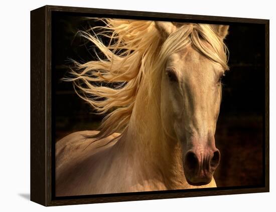 Kieto II-Tony Stromberg-Framed Premier Image Canvas