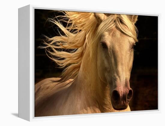 Kieto II-Tony Stromberg-Framed Premier Image Canvas