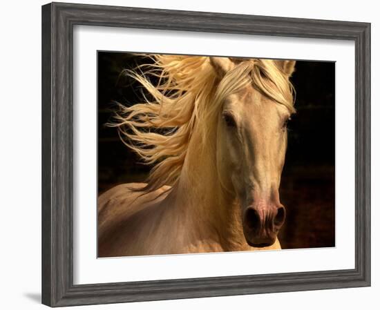 Kieto II-Tony Stromberg-Framed Photographic Print